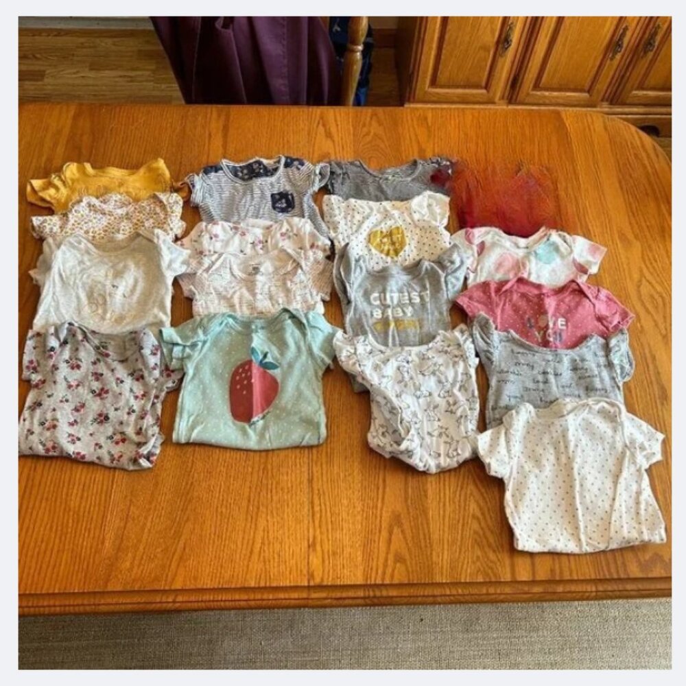 Baby Girl 18 Months Short-Sleeve Bodysuit Lot | 15 Pieces